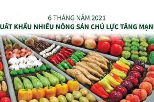 [Infographic] 6 tháng năm 2021, xuất khẩu nhiều nông sản chủ lực tăng mạnh