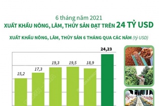 [Infographic] 6 tháng năm 2021, xuất khẩu nông, lâm, thủy sản đạt trên 24 tỷ USD