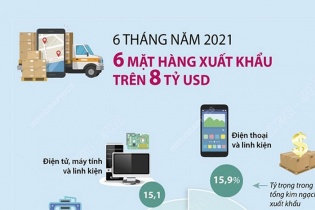 [Infographic] 6 tháng năm 2021, có 6 mặt hàng xuất khẩu trên 8 tỷ USD