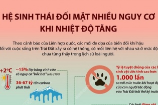 [Infographic] Hệ sinh thái đối mặt nhiều nguy cơ khi nhiệt độ tăng