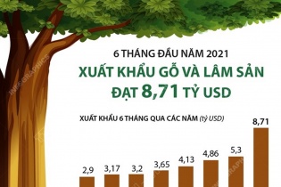[Infographic] 6 tháng năm 2021, xuất khẩu gỗ và lâm sản đạt 8,71 tỷ USD