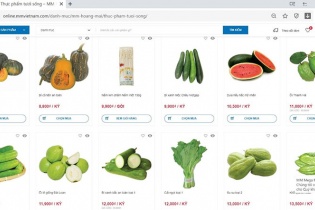 MM Mega Market Việt Nam đẩy mạnh phát triển giải pháp mua sắm trực tuyến