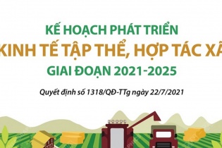 [Infographic] Kế hoạch phát triển kinh tế tập thể, hợp tác xã giai đoạn 2021 - 2025