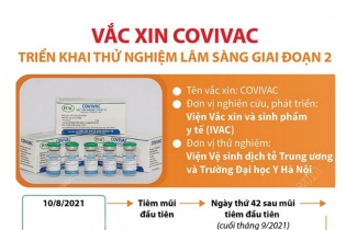 [Infographic] Vắc xin COVIVAC triển khai thử nghiệm lâm sàng giai đoạn 2