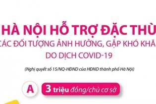 [Infographic] Hà Nội hỗ trợ đặc thù các đối tượng ảnh hưởng, gặp khó khăn do dịch COVID-19