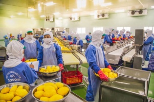 Nafoods "lựa chọn" sống chung với dịch Covid-19 trong 6 tháng cuối năm 2021