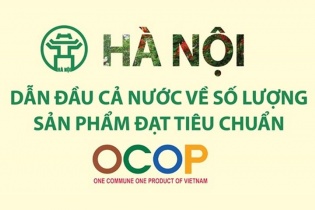 [Infographic] Hà Nội dẫn đầu cả nước về số lượng sản phẩm đạt tiêu chuẩn OCOP