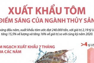 [Infographic] Xuất khẩu tôm, điểm sáng của ngành thủy sản