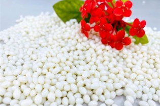 Cách mạng xanh ngành nhựa: Cơ hội nào cho doanh nghiệp Việt?