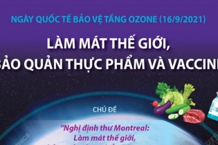 [Infographic] Ngày Quốc tế bảo vệ tầng ozone 16/9: Làm mát thế giới, bảo quản thực phẩm và vaccine