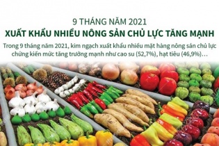 [Infographic] 9 tháng năm 2021, xuất khẩu nhiều nông sản chủ lực tăng mạnh