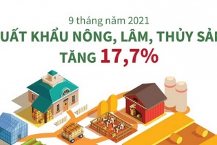 [Infographic] 9 tháng năm 2021, xuất khẩu nông, lâm, thủy sản tăng 17,7%