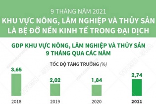[Infographic] 9 tháng năm 2021: Khu vực nông, lâm nghiệp và thủy sản là bệ đỡ nền kinh tế trong đại dịch