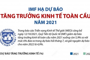 [Infographic] IMF hạ dự báo tăng trưởng kinh tế toàn cầu năm 2021