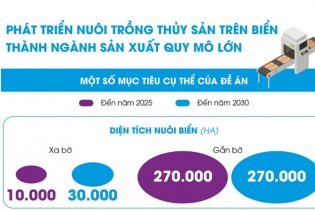 [Infographic] Phát triển nuôi trồng thủy sản trên biển thành ngành sản xuất quy mô lớn