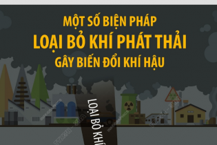 [Infographic] Một số biện pháp loại bỏ khí phát thải gây biến đổi khí hậu