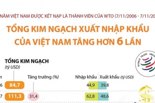 [Infographic] 15 năm Việt Nam được kết nạp là thành viên của WTO