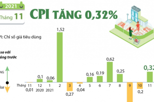 [Infographic] CPI tháng 11/2021 tăng 0,32%