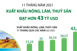 [Infographic] 11 tháng năm 2021, xuất khẩu nông, lâm, thuỷ sản đạt hơn 43 tỷ USD