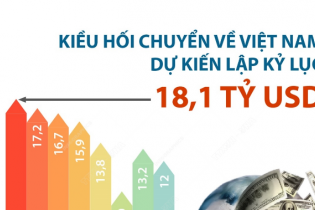 [Infographic] Kiều hối chuyển về Việt Nam dự kiến lập kỷ lục 18,1 tỷ USD