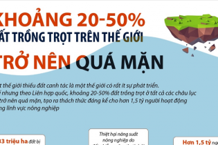 [Infographic] Khoảng 20 - 50% đất trồng trọt trên thế giới trở nên quá mặn