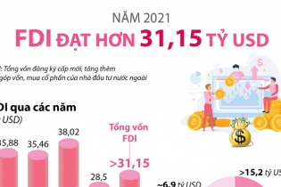 [Infographic] Thu hút FDI năm 2021 đạt hơn 31,15 tỷ USD