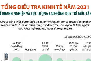 [Infographic] Tổng điều tra kinh tế năm 2021: Số doanh nghiệp và lực lượng lao động duy trì mức tăng