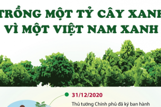 [Infographic] Trồng một tỷ cây xanh - Vì một Việt Nam xanh