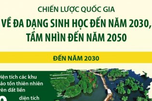 [Infographic] Chiến lược quốc gia về đa dạng sinh học