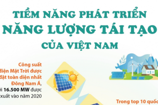 [Infographic] Tiềm năng phát triển năng lượng tái tạo của Việt Nam