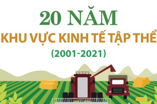 [Infographic] 20 năm khu vực kinh tế tập thể (2001 - 2021)