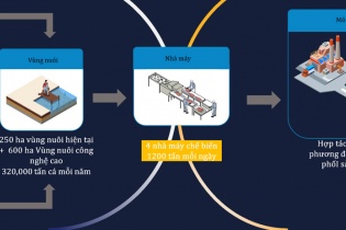 Công ty cổ phần Nam Việt (ANV) – "Con hào" vững chắc