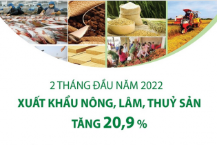 [Infographic] 2 tháng đầu năm 2022: Xuất khẩu nông, lâm, thủy sản tăng 20,9%