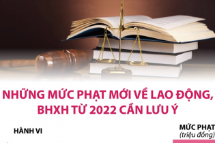 [Infographic] Những mức phạt mới về lao động, BHXH cần lưu ý