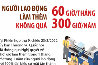 [Infographic] Người lao động làm thêm không quá 300 giờ/năm và 60 giờ/tháng