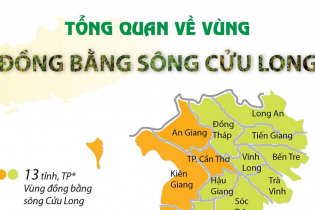 [Infographic] Tổng quan về Vùng đồng bằng sông Cửu Long