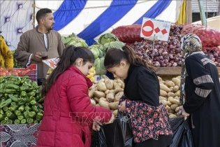 FAO: Giá lương thực, thực phẩm thế giới giảm trong tháng 4/2022