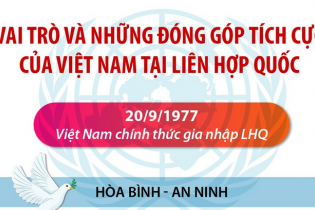 [Infographic] Vai trò và những đóng góp tích cực của Việt Nam tại Liên hợp quốc