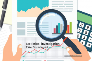 Chính phủ yêu cầu tăng cường công tác thống kê Nhà nước