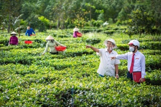 Agribank được phân bổ nguồn vốn 2.500 tỷ đồng để triển khai gói hỗ trợ lãi suất 2%