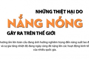 [Infographic] Những thiệt hại do nắng nóng gây ra trên thế giới