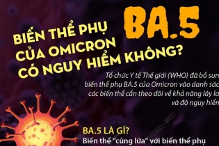 [Infographic] Biến thể phụ BA.5 của Omicron có nguy hiểm không?