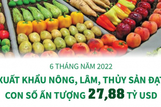 [Infographic] 6 tháng năm 2022, xuất khẩu nông, lâm, thủy sản đạt con số ấn tượng 27,88 tỷ USD