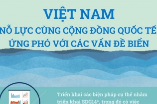 [Infographic] Việt Nam nỗ lực cùng cộng đồng quốc tế ứng phó với các vấn đề biển