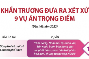 [Infographic] Khẩn trương đưa ra xét xử 9 vụ án trọng điểm