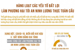 Hàng loạt yếu tố bất lợi làm phương hại tới an ninh lương thực toàn cầu