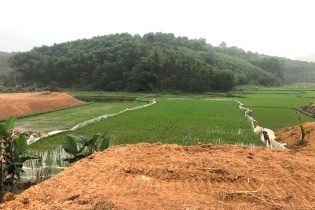 Chính phủ yêu cầu hạn chế chuyển đổi đất chuyên trồng lúa nước sang đất phi nông nghiệp
