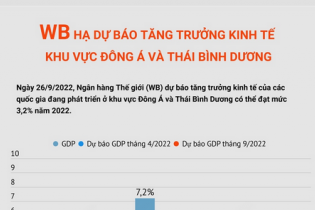 WB hạ dự báo tăng trưởng kinh tế khu vực Đông Á và Thái Bình Dương