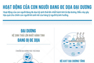 Hoạt động của con người đang đe dọa đại dương