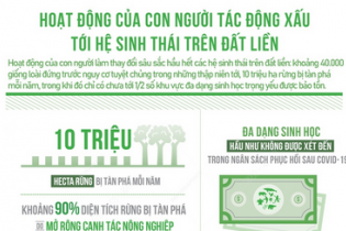 Hoạt động của con người tác động xấu tới hệ sinh thái trên đất liền